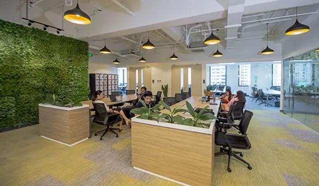 Going green in the office space Going green in the office space
