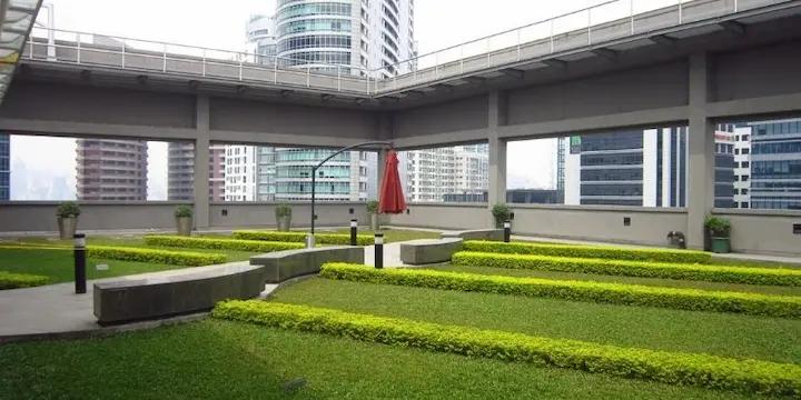 Natural-Features-in-Offices Natural-Features-in-Offices